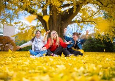 Students throwing ginko leaves