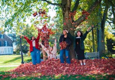 Sustainability - Resource Management - Leaf Composting