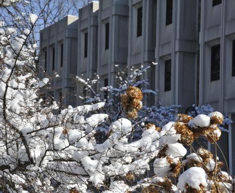 凯纳迪库 in the snow.