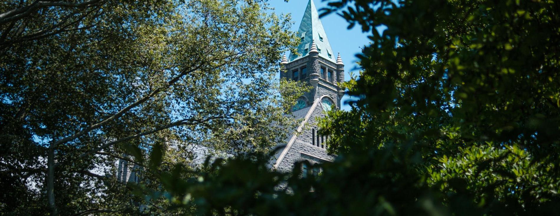 trees and buildings on campus in summer