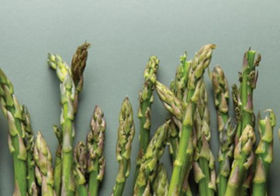 Asparagus Header